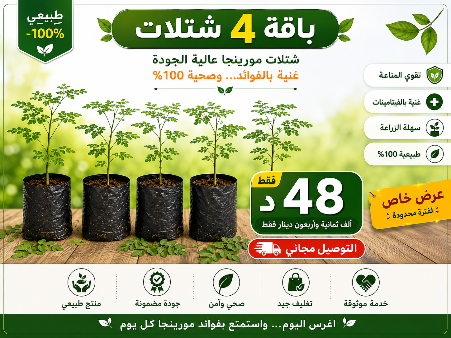 باقة 4 نباتات مورينجا